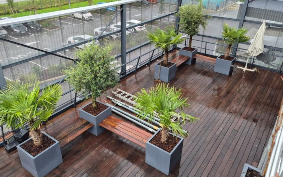 rooftop entreprise_1